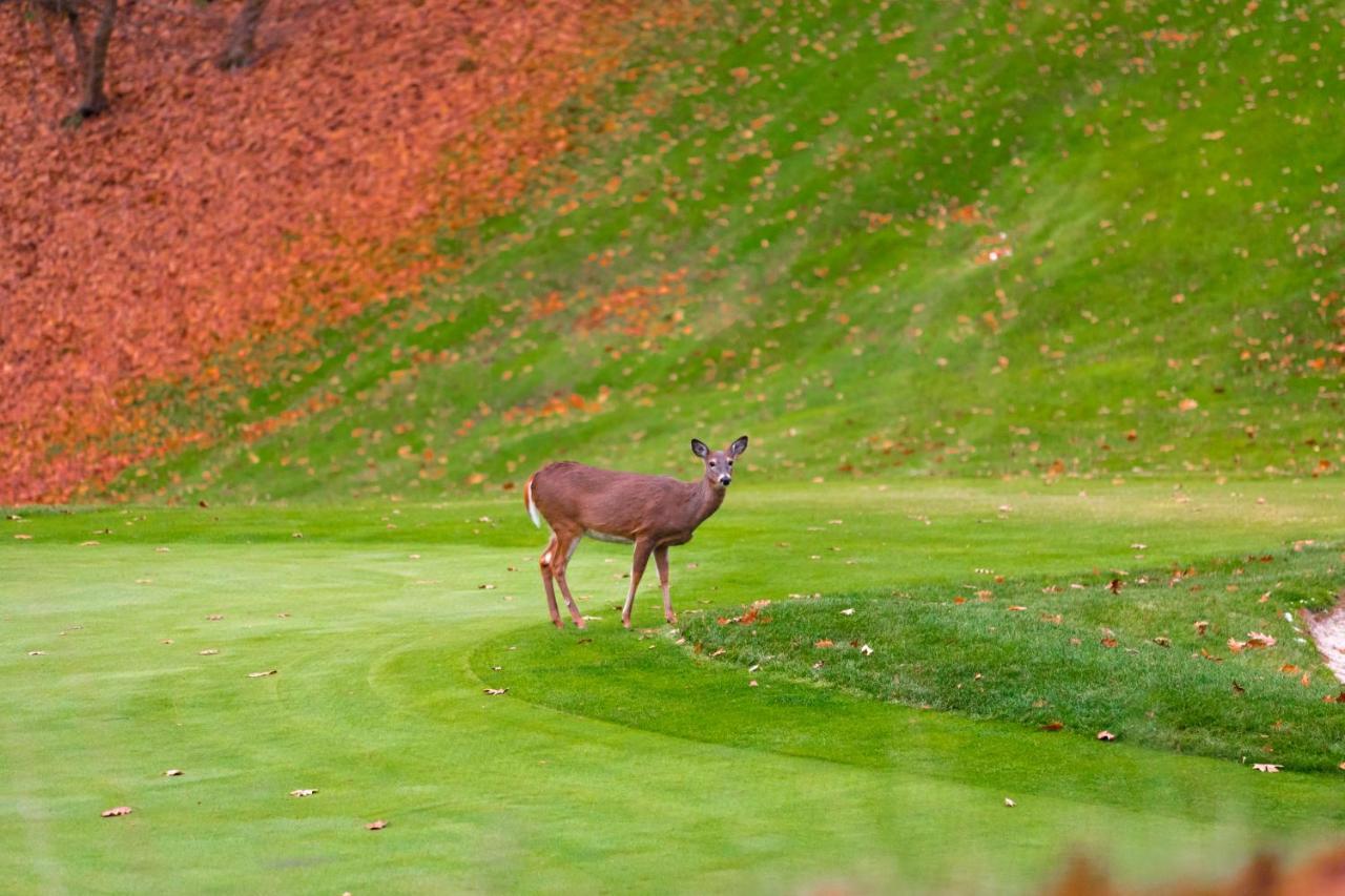 Crown Resorts At Wolf Run デュボア エクステリア 写真